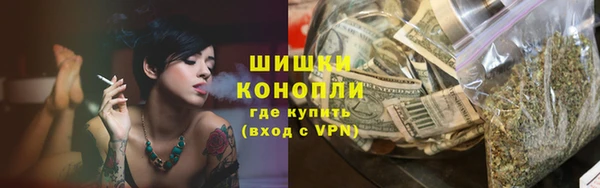 СК Бородино