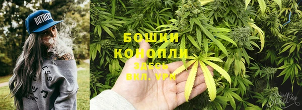 сатива Верхнеуральск