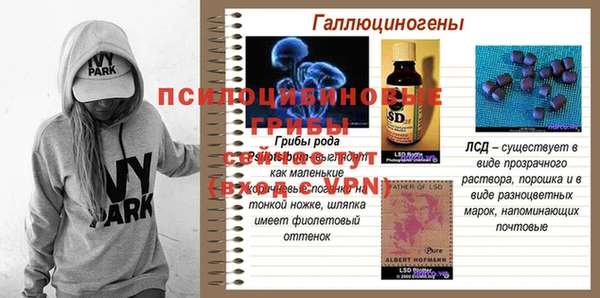 сатива Верхнеуральск