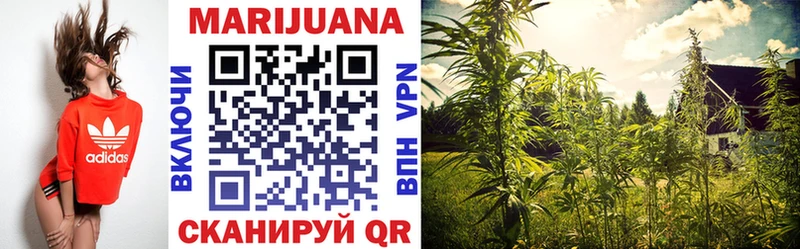 Купить  Благодарный  Канабис семена 